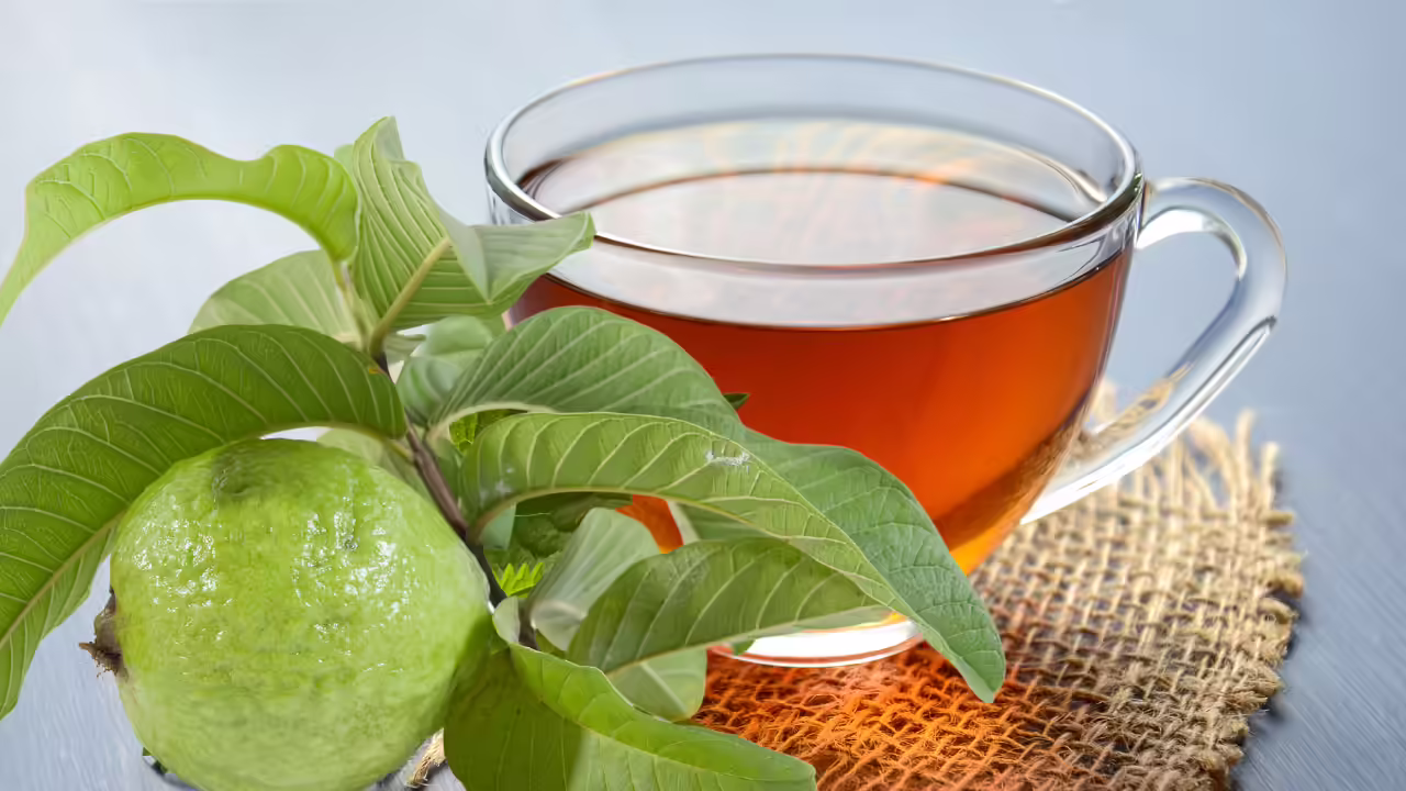 Guava leaves traditionally boiled into a mouth rinse in parts of Southeast Asia.